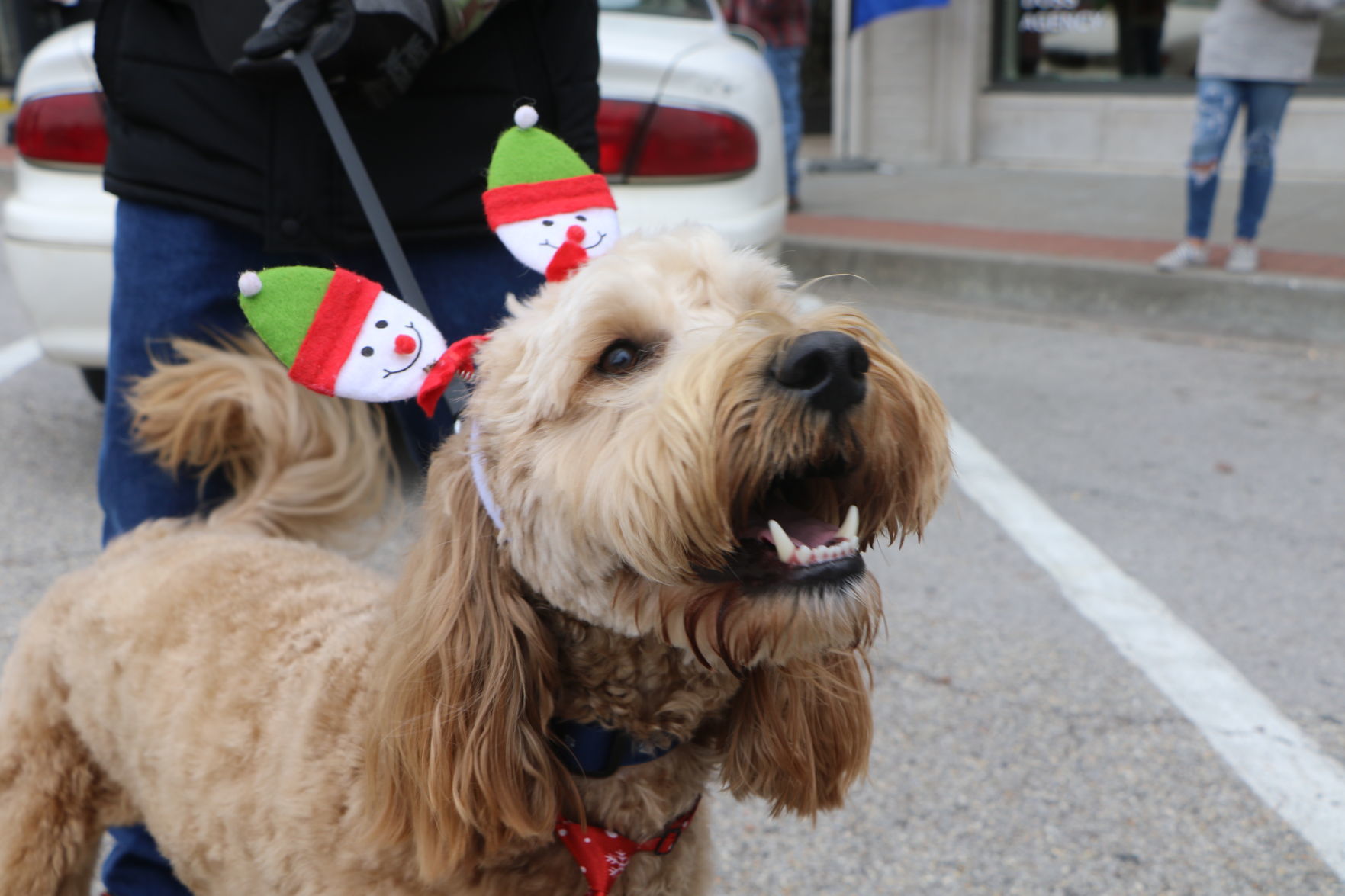 Christmas parade